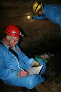 MDC Biologist Tony Elliott swabs a bat for research and Scott House (Cave Research Foundation) collects data. U.S. Fish and Wildlife Photo Credit: Ann Froschauer/USFWS