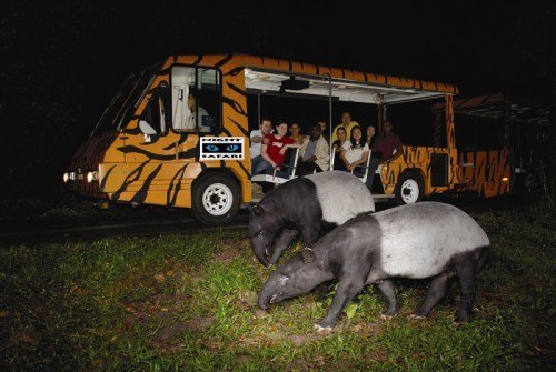 The preliminary concept of a “night zoo” to see nocturnal animals would allow the Saint Louis Zoo and Grant’s Farm to reach more people with conservation messages and provide opportunities for people to connect with nature. Photo credit: Night Safari in Singapore