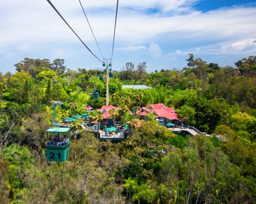 A skyride is one concept of possible additions to Grant’s Farm by the Saint Louis Zoo. ©LittlenyDreamstime.com