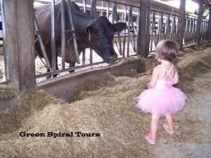 2014-08-06 Windcrest Tutu (36)