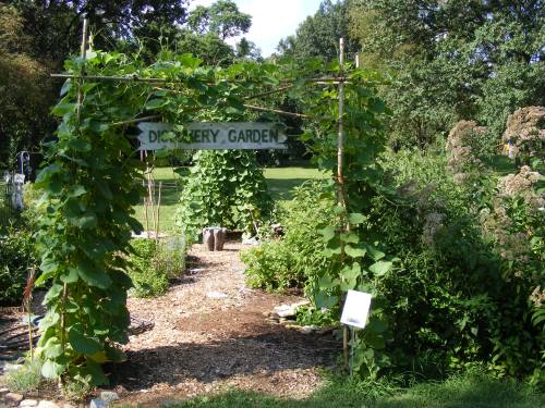 Photos provided by Jan Oberkramer, The Green Center. 