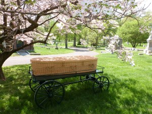 Wicker Casket is a environmentally friendly choice for use in natural burials. Photo curtosy Gracie MacDonell, Bellefontaine Cemetery.