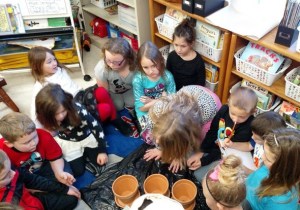 Photo Credit: Missouri Department of Conservation