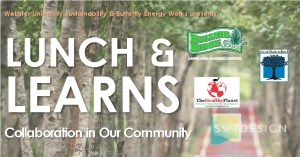 Web U lunch leran June 2016