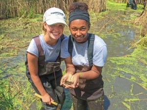 Nature program at Forest Park Forever are teaching the kids about wildlife and sustainable nature practices. Photo courtesy Forest Park Forever/Cassi Lundeen. 