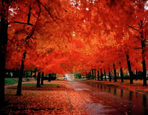 Photo by MDC Staff, courtesy Missouri Department of Conservation.