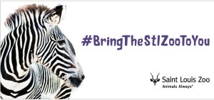 Saint Louis Zoo ads-2