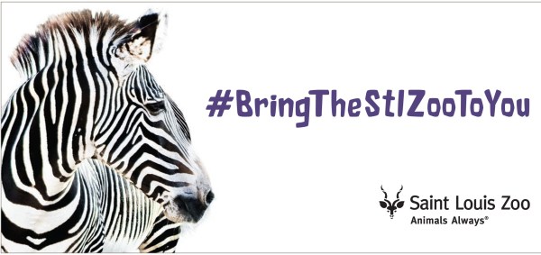 Saint Louis Zoo ads-2