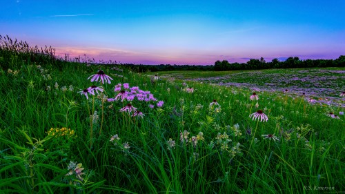 Lindens Prairie RSKinerson