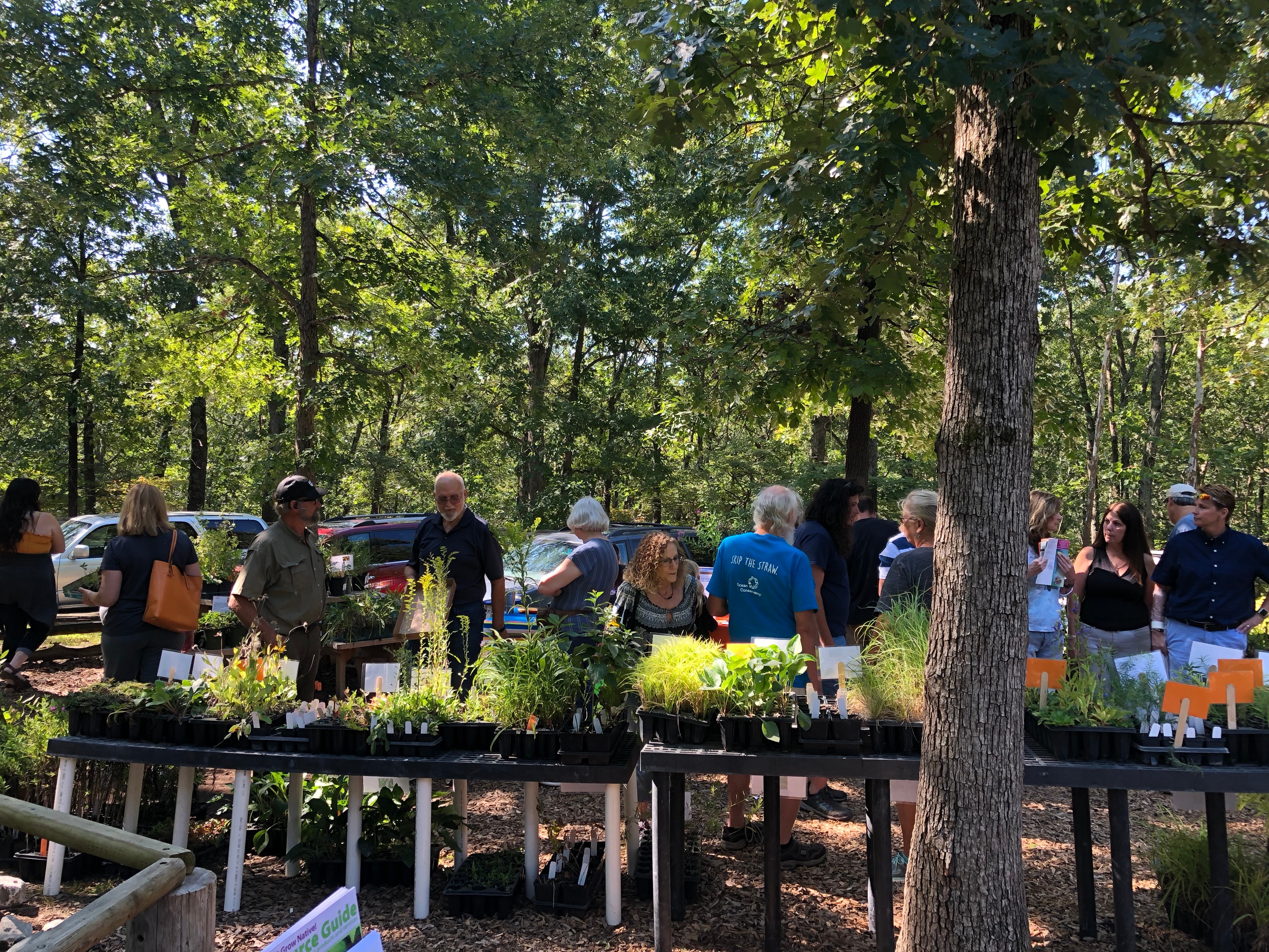 WBS Plant Sale by Felicia Brundick