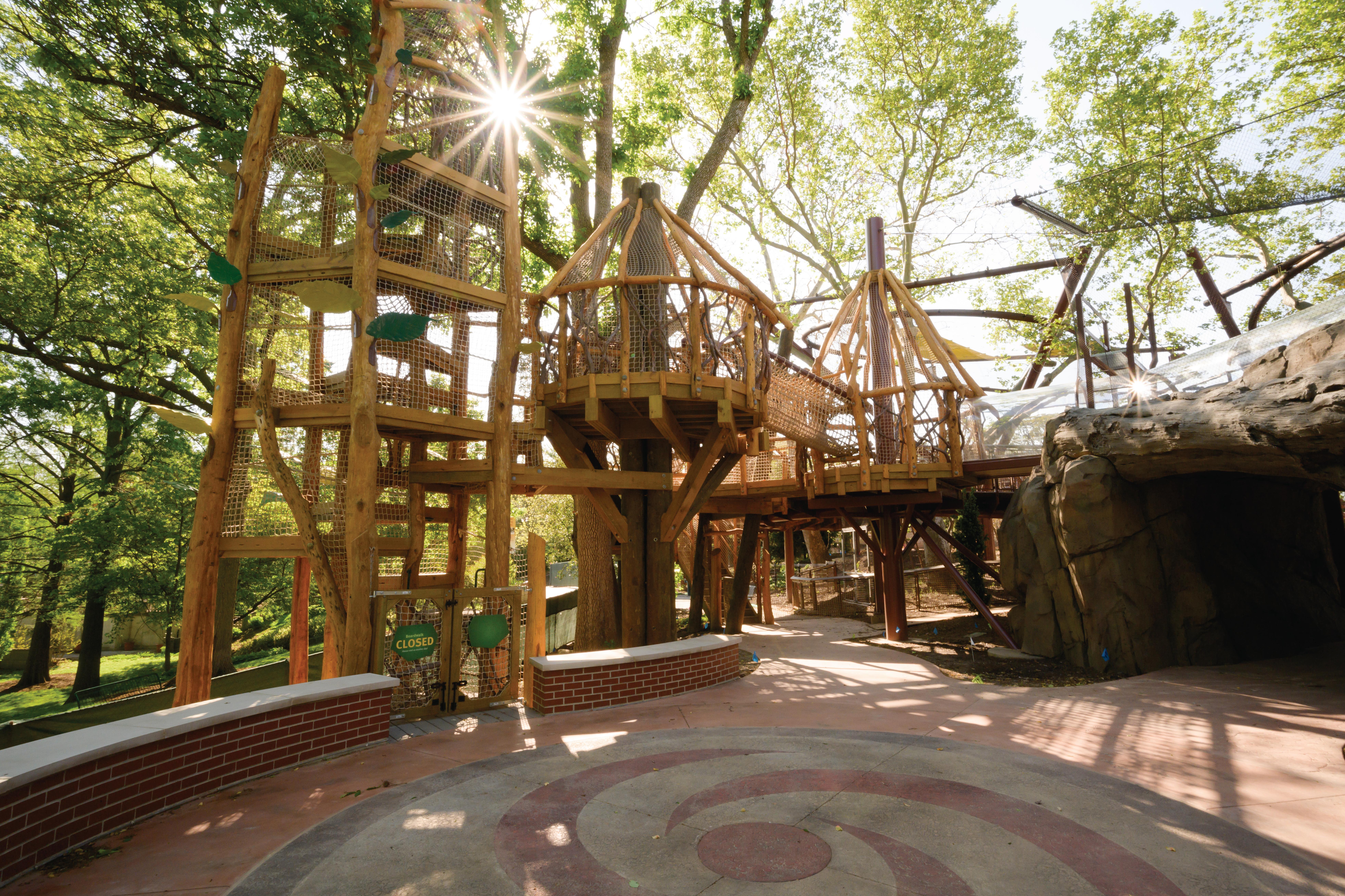 Primate Canopy Trails during construction.