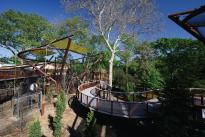 6_Primate Canopy Trails_wide look at pathway and animal habitats_photo by Ray Meibaum Saint Louis Zoo_May 2021